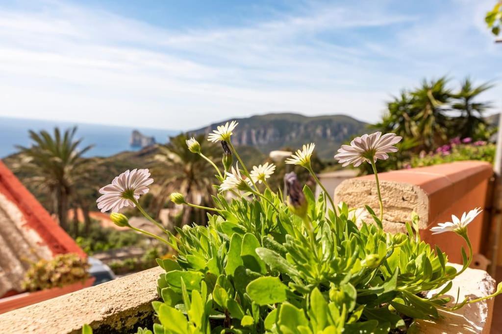 Vista Sul Pan Di Zucchero - Nebida - Holiday House Εξωτερικό φωτογραφία