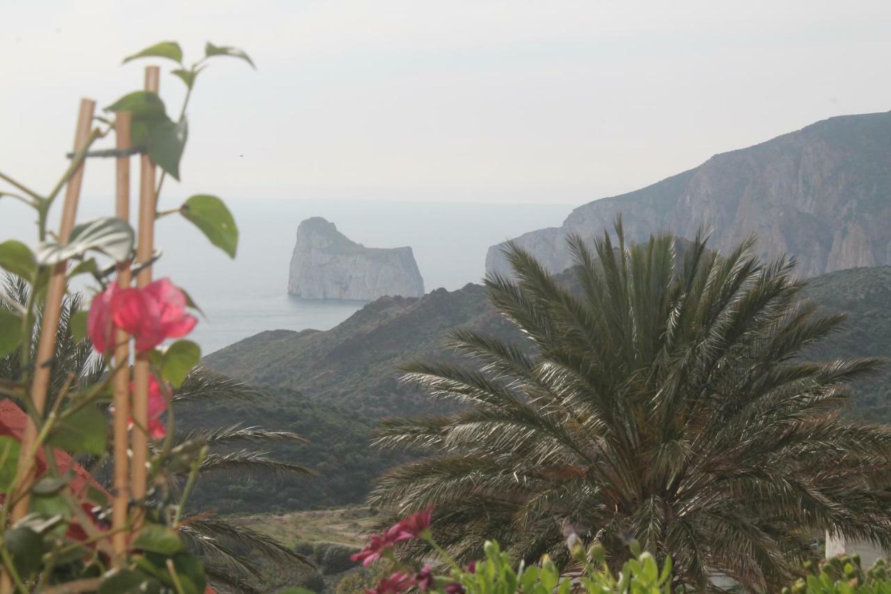 Vista Sul Pan Di Zucchero - Nebida - Holiday House Εξωτερικό φωτογραφία